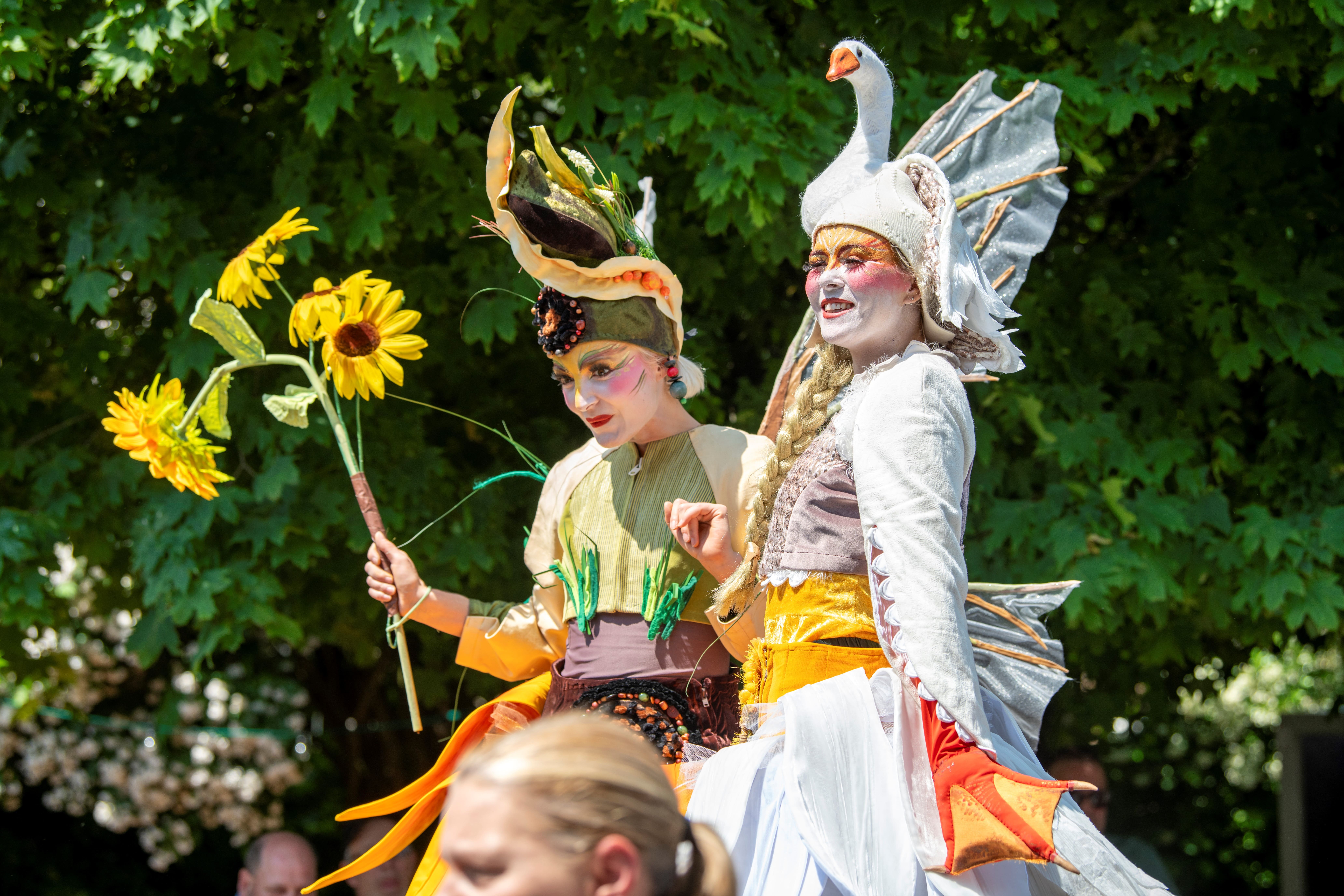 Sonnenblume & Gänseblümchen