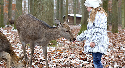 Wildparadies Winter