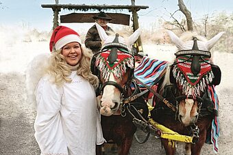 Christkind mit zwei Pferden und Kutsche bei der Tierweihnacht